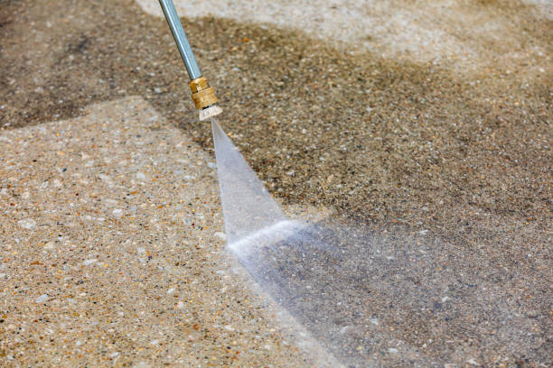 Best Boat and Dock Cleaning  in Muniz, TX
